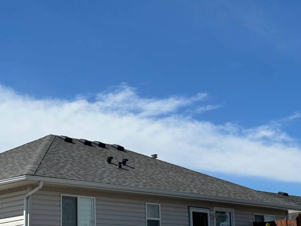 Best Roof Maintenance and Cleaning  in Mdleton, ID